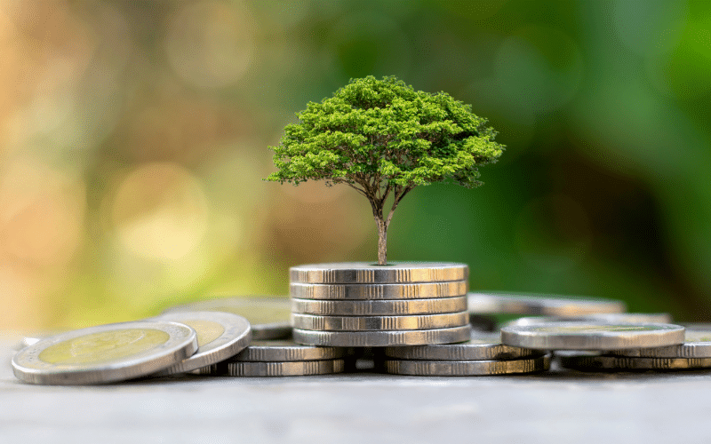 Alternative Investment Options to Grow Your Wealth Portfolio